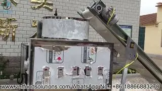 Automatic Garlic Production Line Garlic Cleaning Peeling Machine Test for Belgium Customer