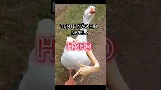 Tente n&atilde;o rir n&iacute;vel hard frango assado dan&ccedil;ando