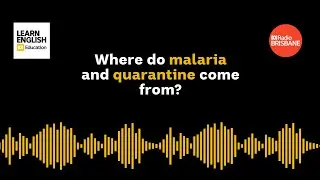 Where do malaria and quarantine come from?