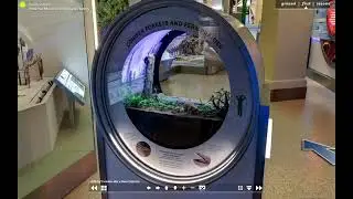 (AD) Narrated Virtual Tour: Hall of Fossils &ndash; Deep Time Exhibit &ndash; Introduction (Audio Described)