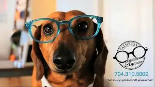 Snoopy the Dachshund Wears Glasses