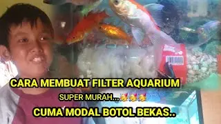 Cara Buat Filter aquarium Dengan Botol Bekas Supaya Air Tetap Bening