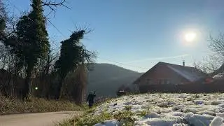 STARA GODINA RUSENJE  KRUSKE(time lapse video)