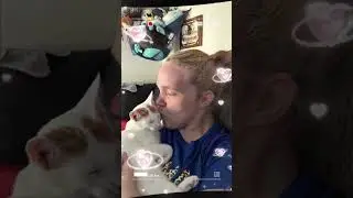 Isn&rsquo;t She So Lovable #cat #shortvideo #adoreble #shortsfeed #catshorts #catlife #catcommunity #viral