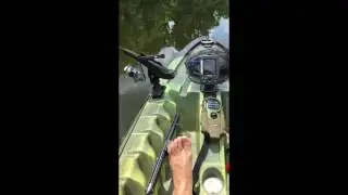Perception Angler Kayak 11.5 with troller motor setup.