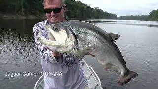 BIG PAYARA