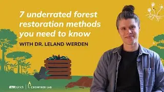 7 underrated forest restoration methods you need to know | Q&A with Dr. Leland Werden