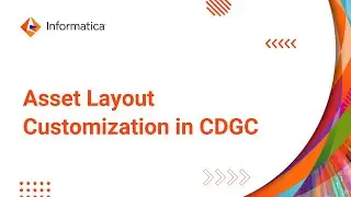 Asset Layout Customization in CDGC