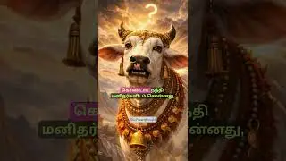Maatu Pongal and Shiva's anger? 🕉️🐂 The Untold Story Behind the Festival #shorts #viral