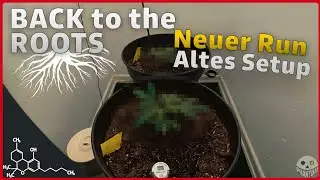 Neuer Run in der Abstellkammer