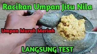 Ini Dia Racikan Umpan Jitu Ikan Nila Babon Terbaru Yang Sangat Di Larang Di Kolam Pemancingan