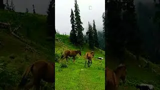 BADGOI PASS | Utror Valley | Swat Valley