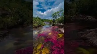 Cano Cristales river