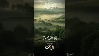 Quran status ##holybook#recitequrandaily##qurqncollection##shortvedios#foryoy#i love Allah