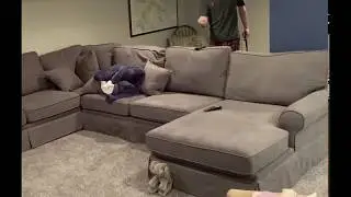 Quarantine Golf Trick Shot Done Right!