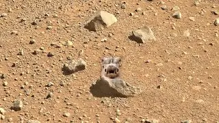 Latest 4k Panorama of Mars Surface ||Mars in 4k||