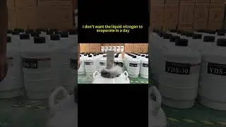 What is the reason why the new liquid nitrogen tank volatilizes a lot in one day?