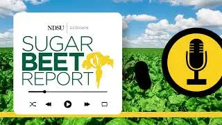 Nutrient Considerations - Sugarbeet Report