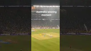 Australia winning moment from ICC Men's World Cup Final 2023 #iccworldcup2023