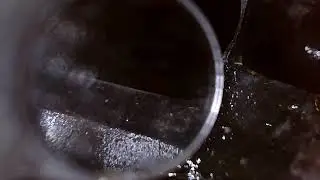 Sauer 200 STR 22LR  ThorroClean Test