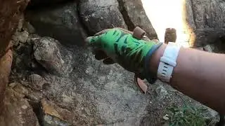 Bushwalk: The Castle, NSW, Australia