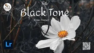 BLACK TONE Presets - Lightroom MobilePresets DNG | Black Tone Preset| MoodyBlack Preset
