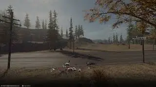 InkyBear final kill in Verdansk.