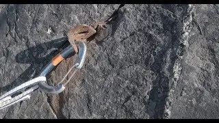 Sea-cliff climbing essentials 4: Fixed gear