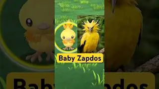Shiny Baby Zapdos ✨✨😂
