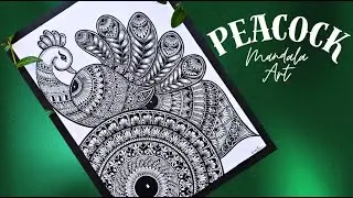 How to Draw a Beautiful Peacock Mandala Step by Step