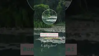 Bunga Teratai di Balong Kramat Darmaloka