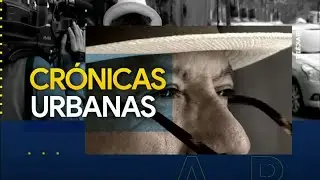 Colombófilia, la técnica para criar y entrenar palomas
