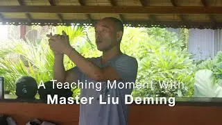 We're All Energy: A Teaching Moment with Master LIu Deming