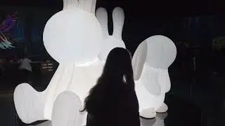 🖼The Arte Museum New York Digital Experience!!!🖼 (Narrated).
