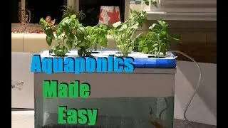 Cheap and Easy $35 Aquaponics / Hydroponics Setup