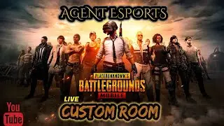 AGENT ESPORTS || DAILY CUSTOMS || DATE 21.10.2019