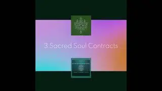 3 Types of Sacred Soul Contracts - 🕊️Twin Rays, 🔥Twin Flames, 🪞Mirror Souls
