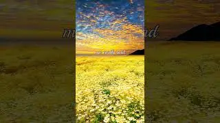 Affirmation Money  Abundance  #motivation #money #abundanceiseverywhere #positiveaffirmations
