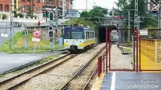 Feve: El Berr&oacute;n