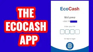 The Ecocash App