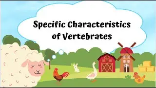 Specific Characteristics of Vertebrates