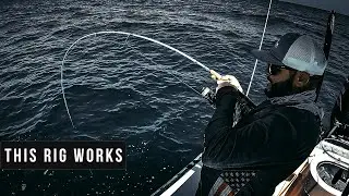 Use This Rig & Catch BIG Fish - Offshore Fishing!