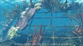 eREEF 2017 - User Interface Artificial Coral Reef