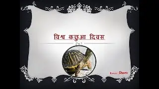'World Turtle Day: 23 May' in Hindi | 'विश्व कछुआ दिवस' पर निबंध