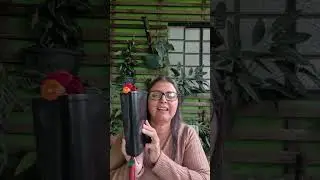 Deus &eacute; a nossa seguran&ccedil;a! Plantando com F&eacute; e Colhendo com Esperan&ccedil;a! est&aacute; ao vivo! Live.