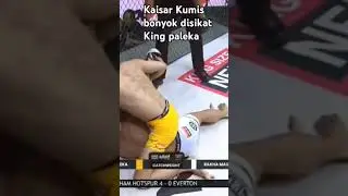 Kumis KO disikat paleka
