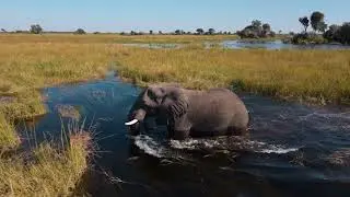 Okavango Delta-Botswana 2025