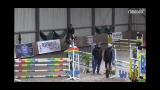 6j Casino Grande x Ramiro&rsquo;s Match Springpferde L