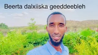 geed deebleh botanical garden) beerta dalxiiska