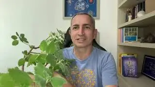 MIRRA E SEUS PODERES ENERG&Eacute;TICOS